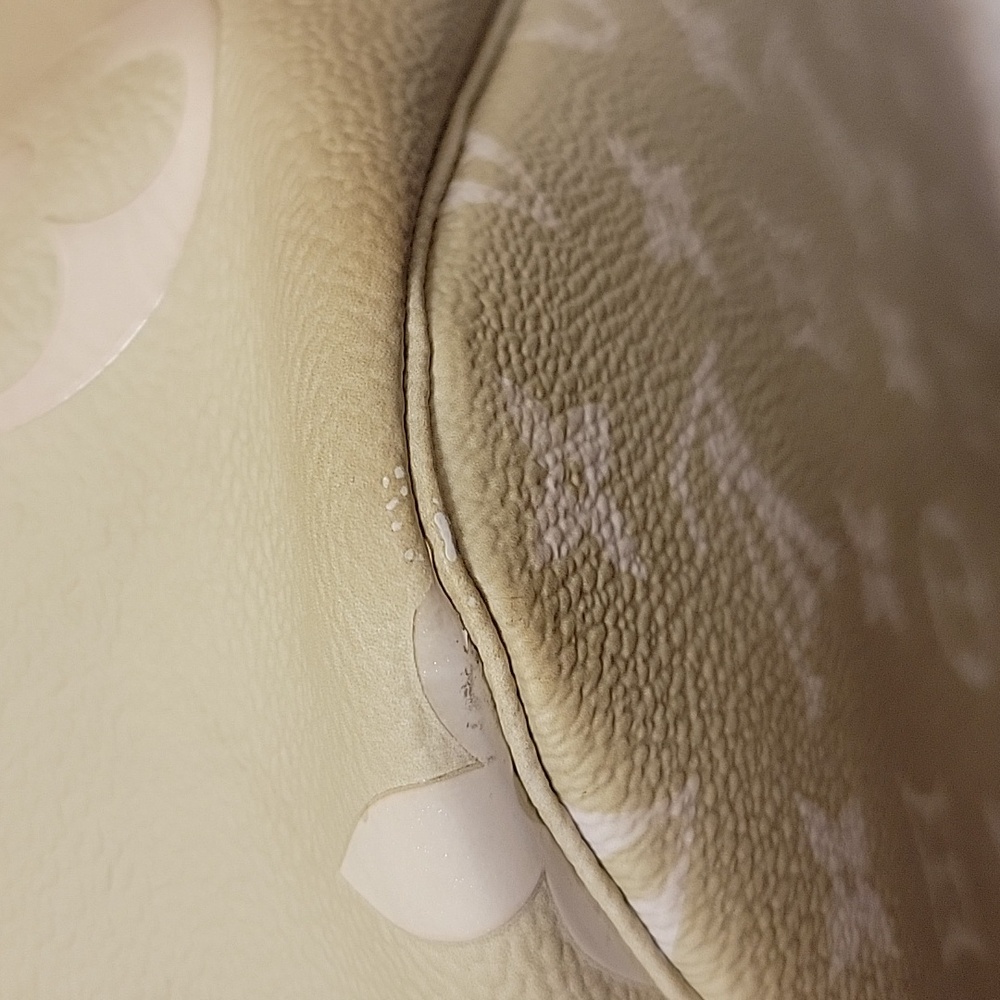 Louis Vuitton Spring In The City Neverfull MM - Picture 12 of 14